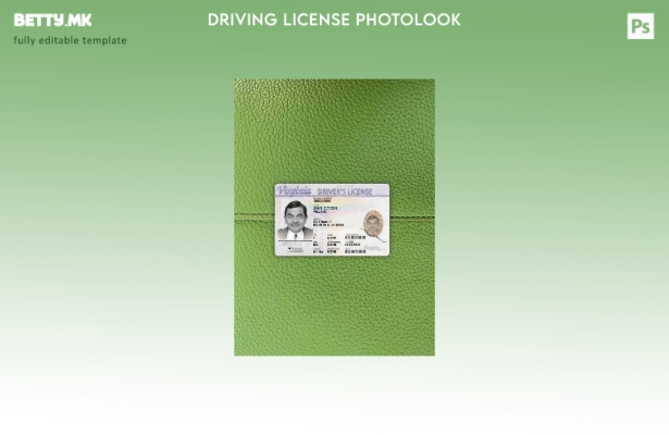 Модерен стил на САД, Вирџинија за возење преден фотографски шаблон